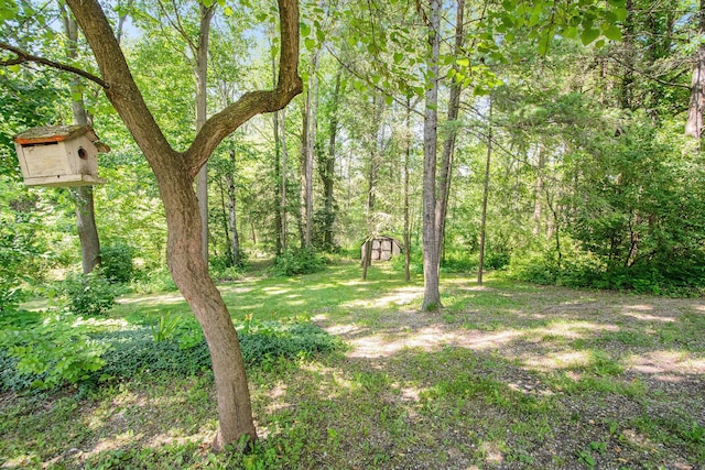 246 Ridgeway Rd, Jackson, MI 49202 - view of yard featuring a storage shed and a forest view