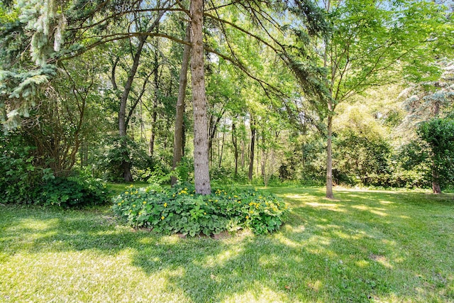 246 Ridgeway Rd, Jackson, MI 49202 - view of green lawn