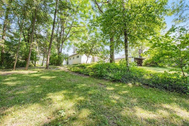 246 Ridgeway Rd, Jackson, MI 49202 - view of green lawn