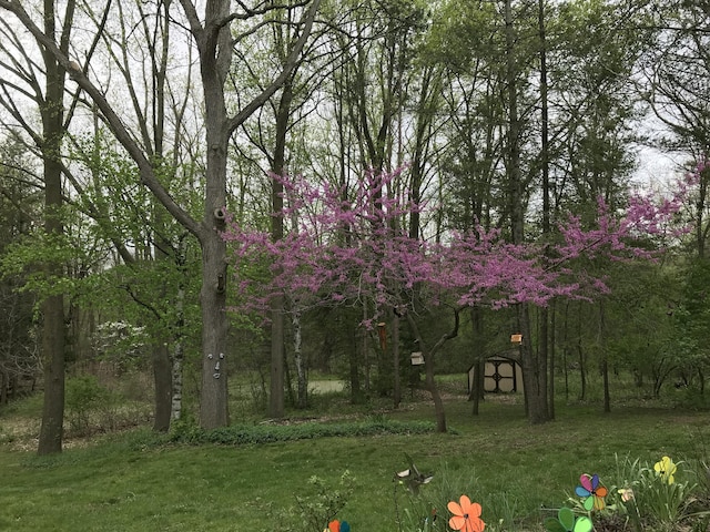 246 Ridgeway Rd, Jackson, MI 49202 - view of yard