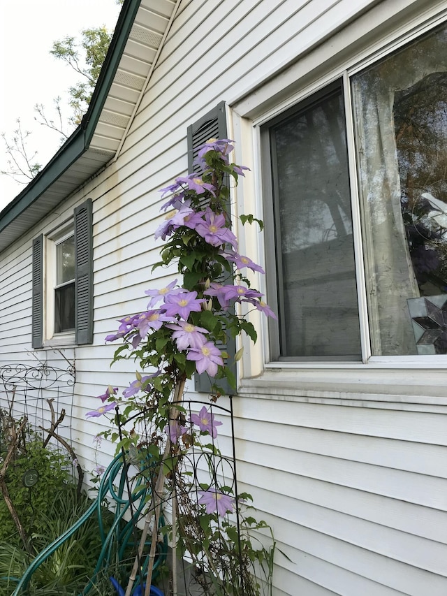 246 Ridgeway Rd, Jackson, MI 49202 - exterior view