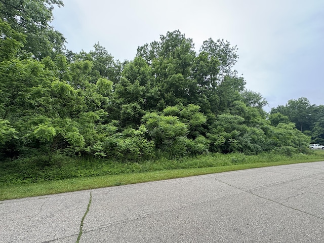 74161 Ridgeway Dr, Lawton, MI 49065