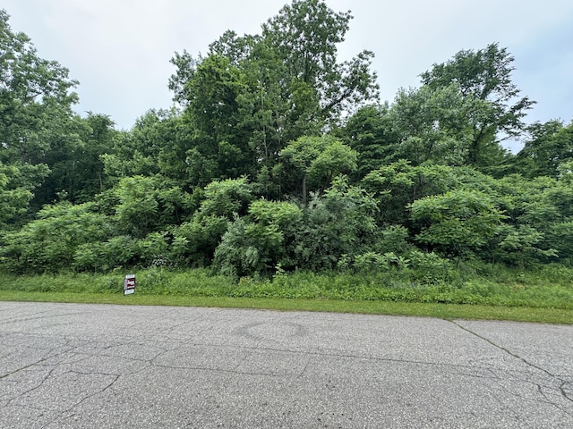74161 Ridgeway Dr, Lawton, MI 49065