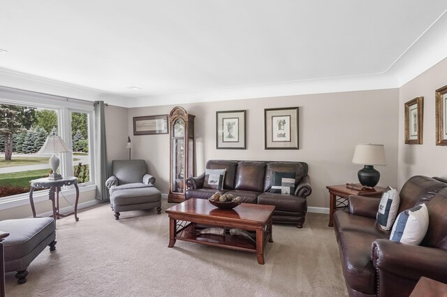 6898 Vernmoor Dr, Troy, MI 48098 - photo 7