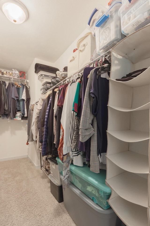 1481 Kristen Path, Saint Joseph, MI 49085 - walk in closet featuring carpet flooring
