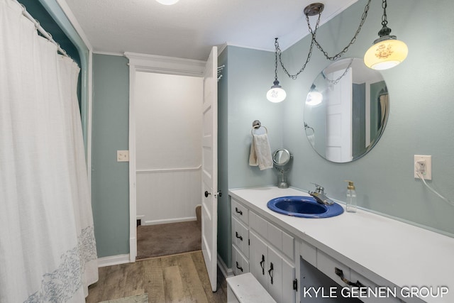 15405 Barry St, West Olive, MI 49460 - bathroom featuring wood finished floors, vanity, and a shower with shower curtain