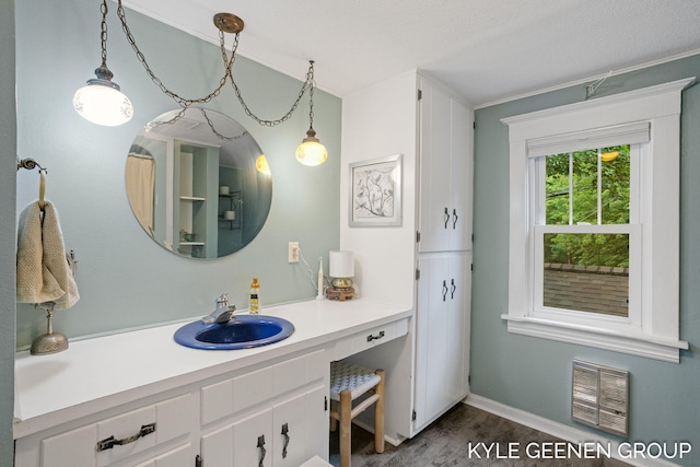 15405 Barry St, West Olive, MI 49460 - bathroom featuring wood finished floors, vanity, and heating unit