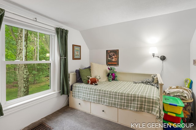 15405 Barry St, West Olive, MI 49460 - carpeted bedroom with lofted ceiling