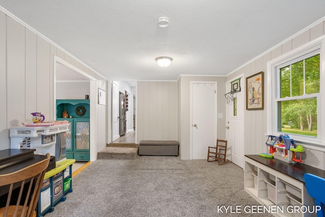 15405 Barry St, West Olive, MI 49460 - recreation room with ornamental molding, carpet flooring, a decorative wall, and a textured ceiling