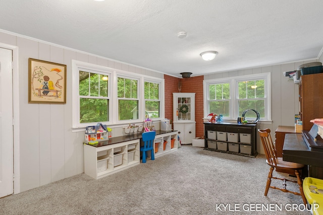 15405 Barry St, West Olive, MI 49460 - office space with carpet floors, ornamental molding, and a decorative wall