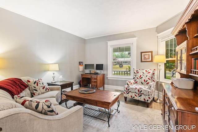 15405 Barry St, West Olive, MI 49460 - living area with wood finished floors and crown molding