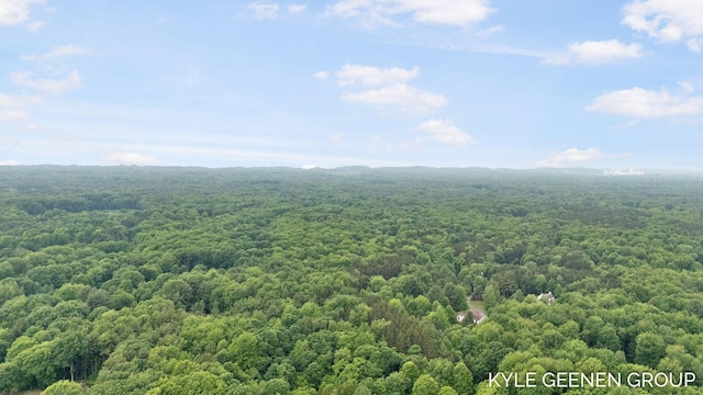 15405 Barry St, West Olive, MI 49460 - aerial view of a heavily wooded area