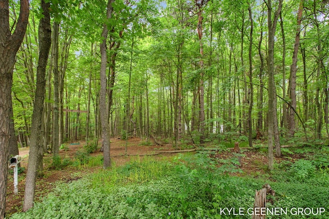 15405 Barry St, West Olive, MI 49460 - view of wooded area