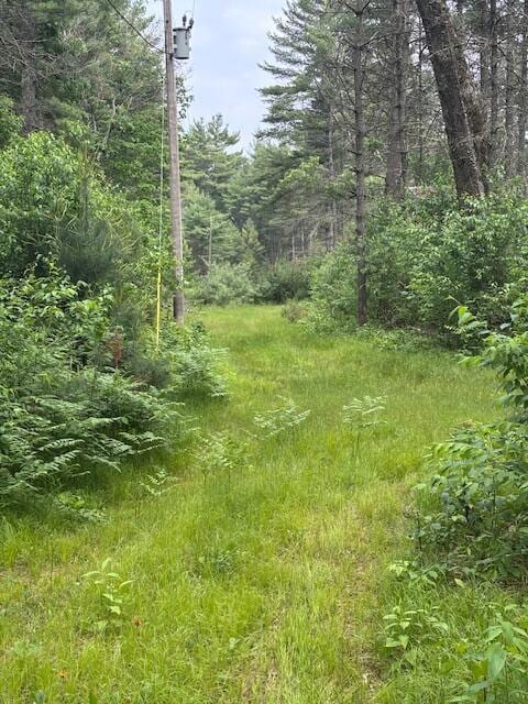 4901 S Spruce Ave, Newaygo, MI 49337