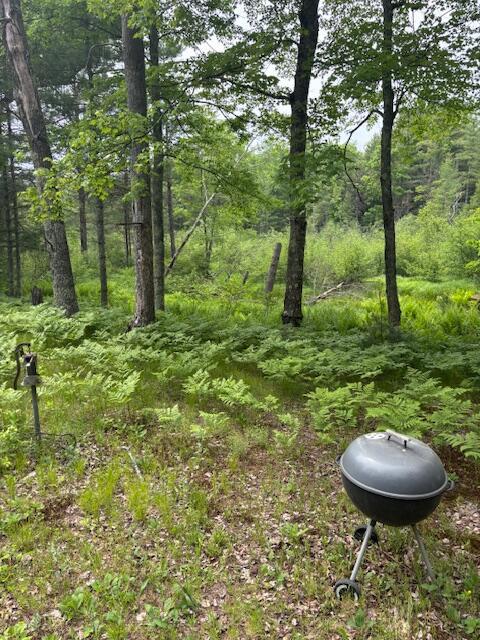 4901 S Spruce Ave, Newaygo, MI 49337