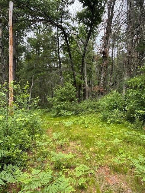 4901 S Spruce Ave, Newaygo, MI 49337
