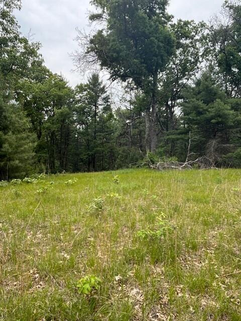 4901 S Spruce Ave, Newaygo, MI 49337