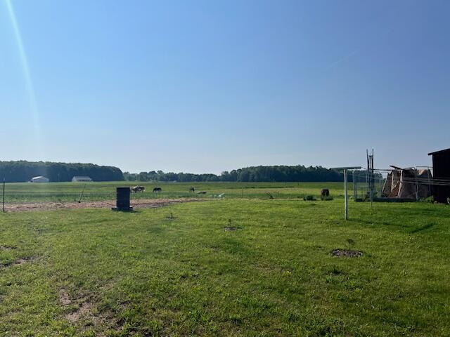 5483 Chief Rd, Brethren, MI 49619 - photo 4