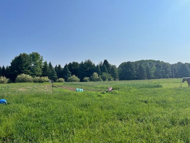 5483 Chief Rd, Brethren, MI 49619 - photo 8