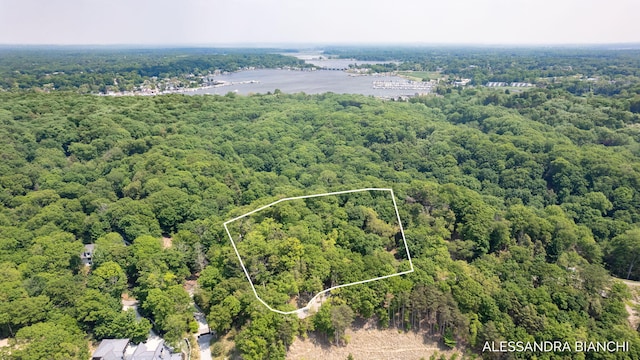 225 Dunegrass Ridge Dr, Saugatuck, MI 49453 - photo 2