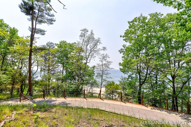 225 Dunegrass Ridge Dr, Saugatuck, MI 49453 - photo 4