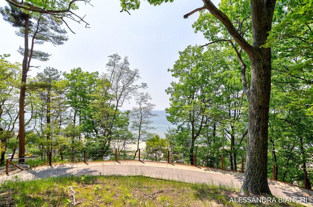 225 Dunegrass Ridge Dr, Saugatuck, MI 49453 - photo 5