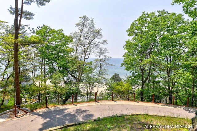 225 Dunegrass Ridge Dr, Saugatuck, MI 49453 - photo 6