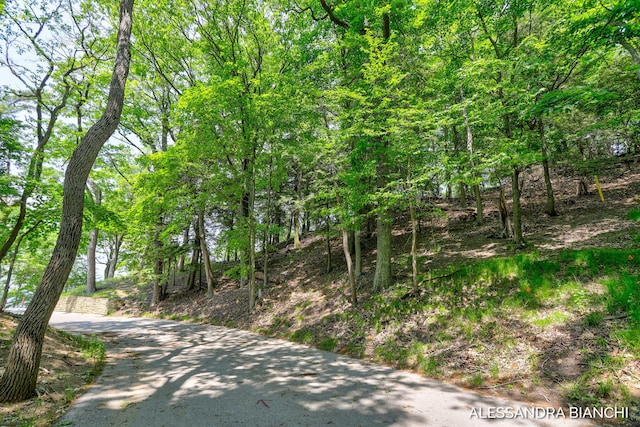 225 Dunegrass Ridge Dr, Saugatuck, MI 49453 - photo 9
