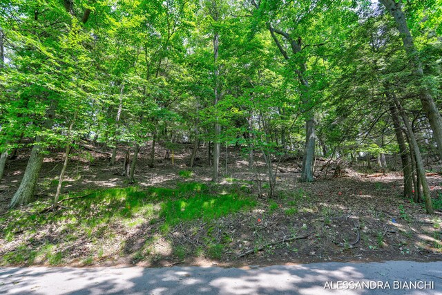 225 Dunegrass Ridge Dr, Saugatuck, MI 49453 - photo 10