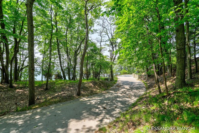 225 Dunegrass Ridge Dr, Saugatuck, MI 49453 - photo 11