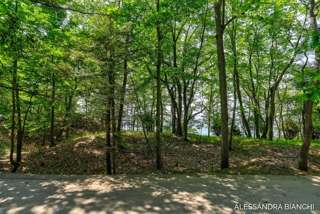 225 Dunegrass Ridge Dr, Saugatuck, MI 49453 - photo 12