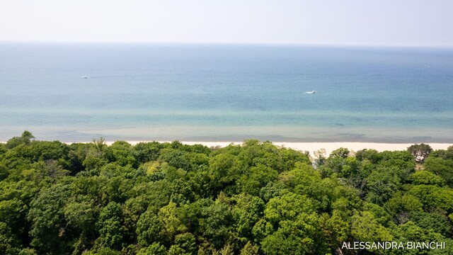 225 Dunegrass Ridge Dr, Saugatuck, MI 49453 - photo 15