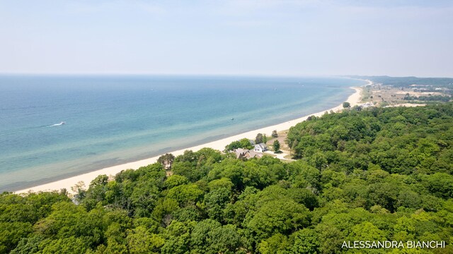 225 Dunegrass Ridge Dr, Saugatuck, MI 49453 - photo 16