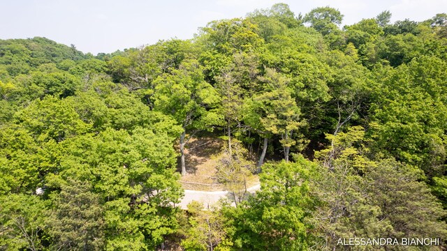 225 Dunegrass Ridge Dr, Saugatuck, MI 49453 - photo 17