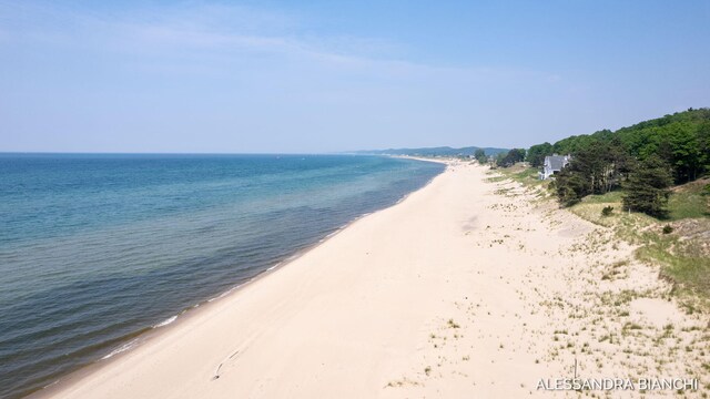 225 Dunegrass Ridge Dr, Saugatuck, MI 49453 - photo 20