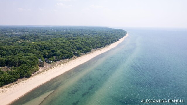 225 Dunegrass Ridge Dr, Saugatuck, MI 49453 - photo 21