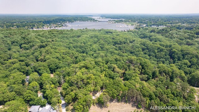 225 Dunegrass Ridge Dr, Saugatuck, MI 49453 - photo 22