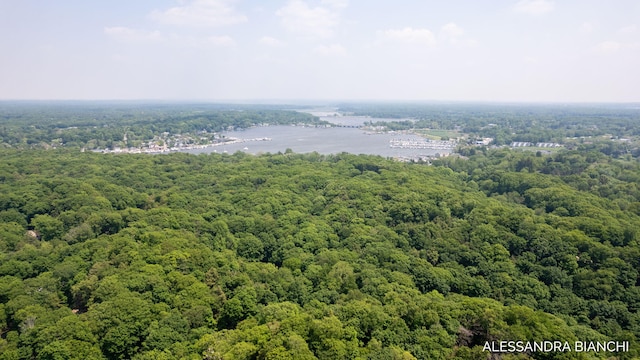 225 Dunegrass Ridge Dr, Saugatuck, MI 49453 - photo 23