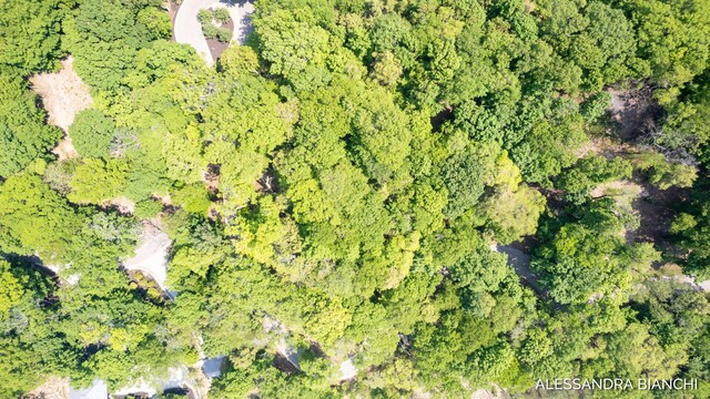 225 Dunegrass Ridge Dr, Saugatuck, MI 49453 - photo 25