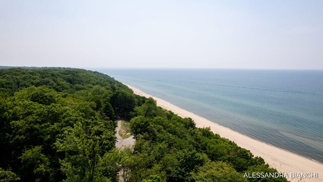 225 Dunegrass Ridge Dr, Saugatuck, MI 49453 - photo 26