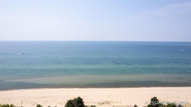 225 Dunegrass Ridge Dr, Saugatuck, MI 49453 - photo 27