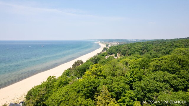 225 Dunegrass Ridge Dr, Saugatuck, MI 49453 - photo 28