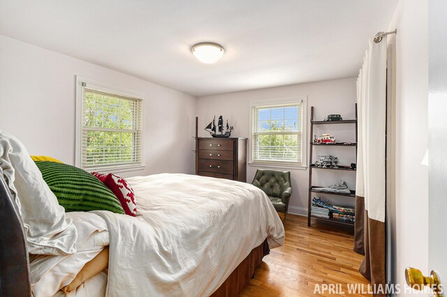 740 Van Raalte Ave, Holland, MI 49423 - bedroom featuring light wood-style floors