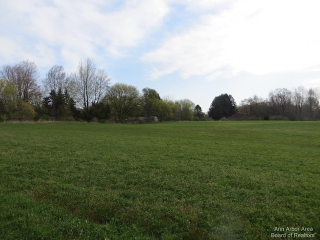 0 Luick, Chelsea, MI 48118