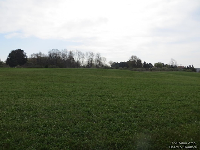 0 Luick, Chelsea, MI 48118