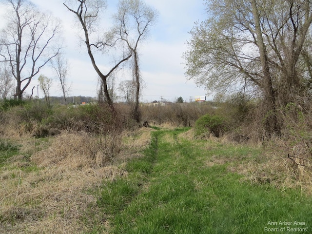 0 Luick, Chelsea, MI 48118