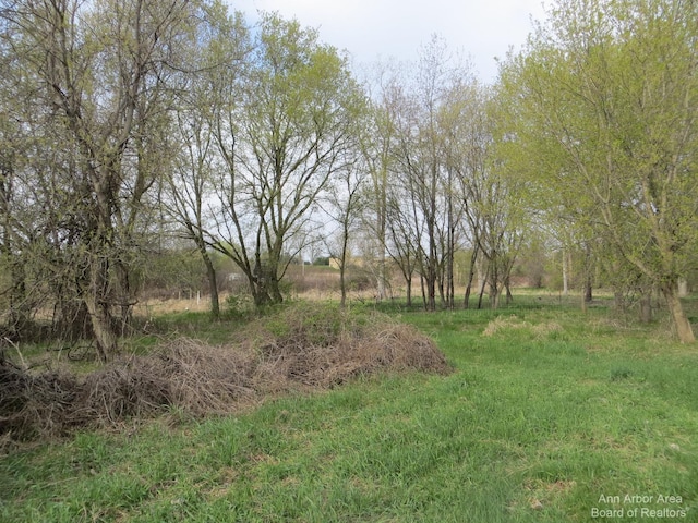 0 Luick, Chelsea, MI 48118