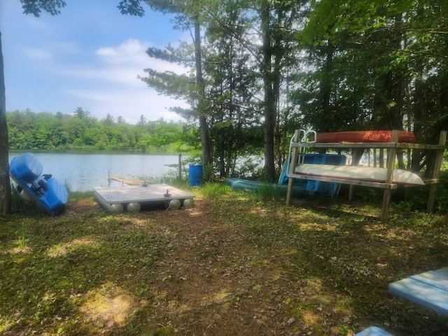 6346 E Peavey St, Walkerville, MI 49459 - photo 28