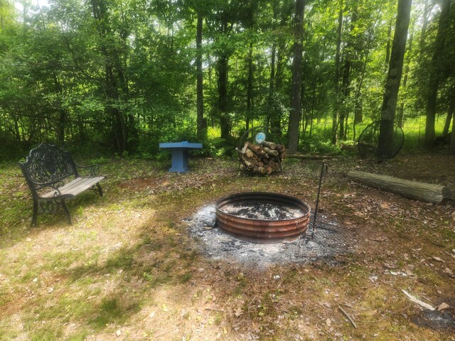 6346 E Peavey St, Walkerville, MI 49459 - photo 32