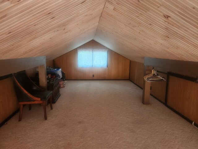 6346 E Peavey St, Walkerville, MI 49459 - photo 17
